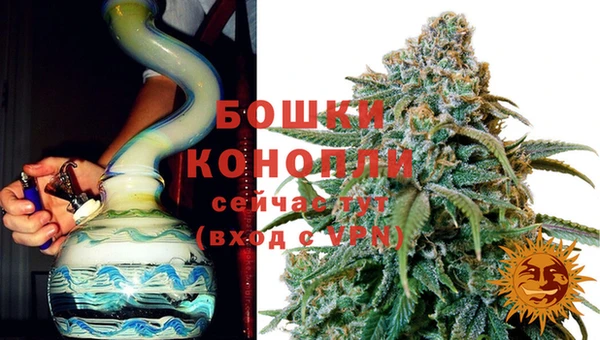 mdpv Инсар