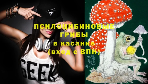 стафф Инта
