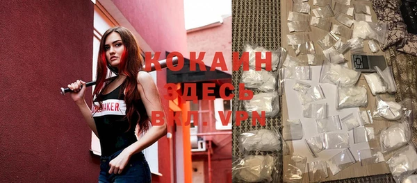 mdpv Инсар