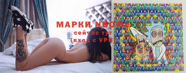 стафф Инта