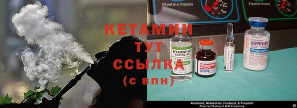 стафф Инта