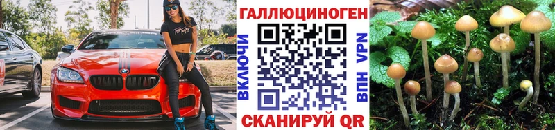 darknet Telegram  закладки  Пятигорск  Псилоцибиновые грибы GOLDEN TEACHER 